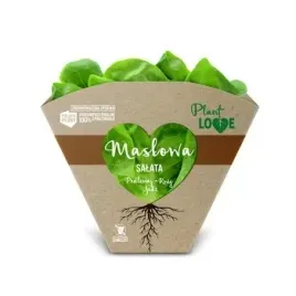 salata-maslowa-plantlove-klasa-i-polska-1szt