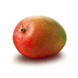 mango-rte-brazylia-1szt