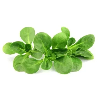 salata-roszponka-125g