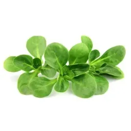 bio-roszponka-wlochy-100g