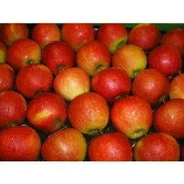 jablka-jonaprince-ukladane-klasa-i-polska-6kg