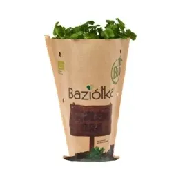bio-kolendra-doniczka-polska-1szt-baziolka