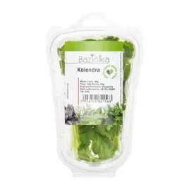 kolendra-cieta-hiszpania-30g-baziolka