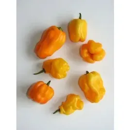 papryka-ostra-habanero-zolta-holandia-75g