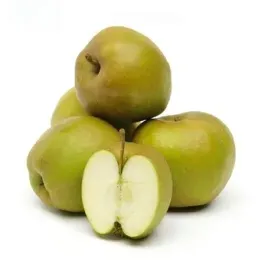 jablka-szara-reneta-spoldzielnia-grojec-6-kg