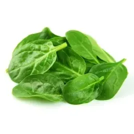 bio-szpinak-baby-wlochy-100g