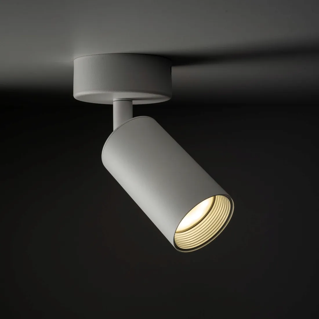 lampa-reflektor-spot-amis-white-10794-tk-lighting