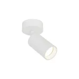 lampa-reflektor-spot-amis-white-10794-tk-lighting-srednica-szerokosc-klosza-15-cm
