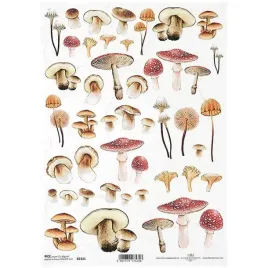 papier-ryzowy-do-decoupage-a4-itd-r2121-grzyby