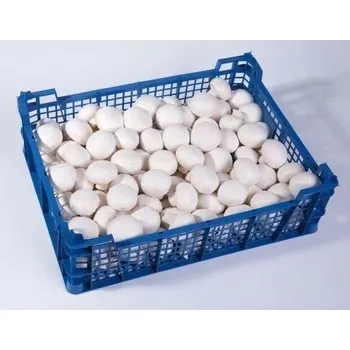pieczarka-biala-3kg-marka-name