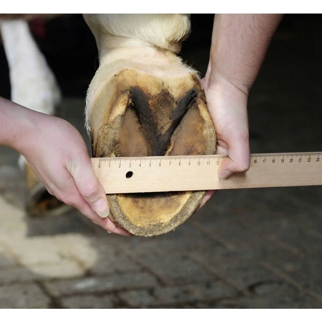 kopyto-do-butow-hkm-1-stan-nowy