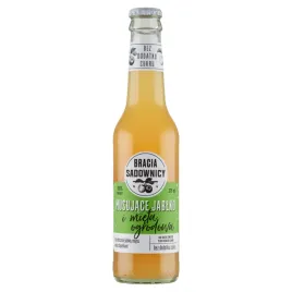 bracia-sadownicy-napoj-musujace-jablko-i-mieta-ogrodowa-275-ml
