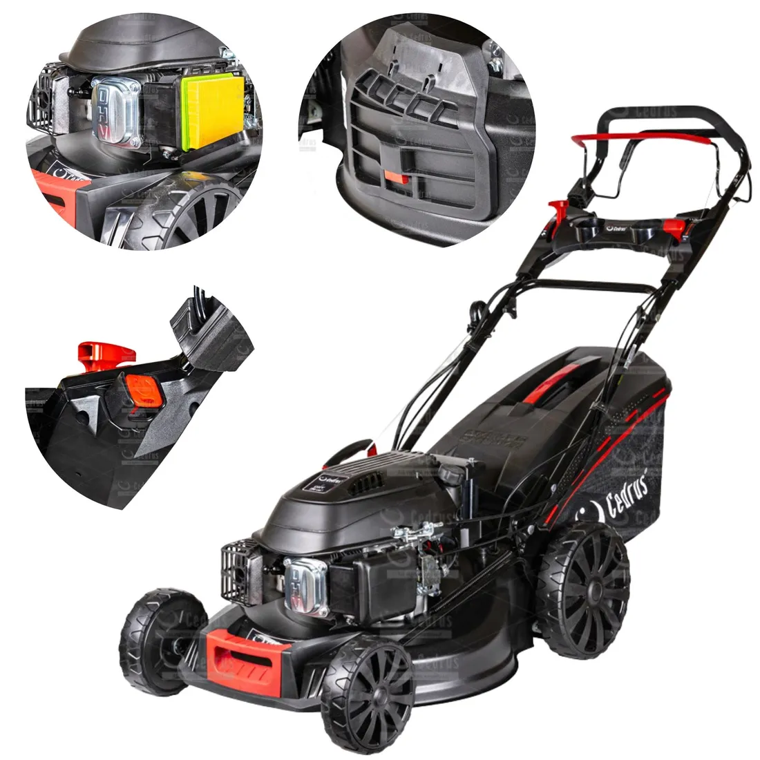 kosiarka-spalinowa-cedrus-cedks53s-e