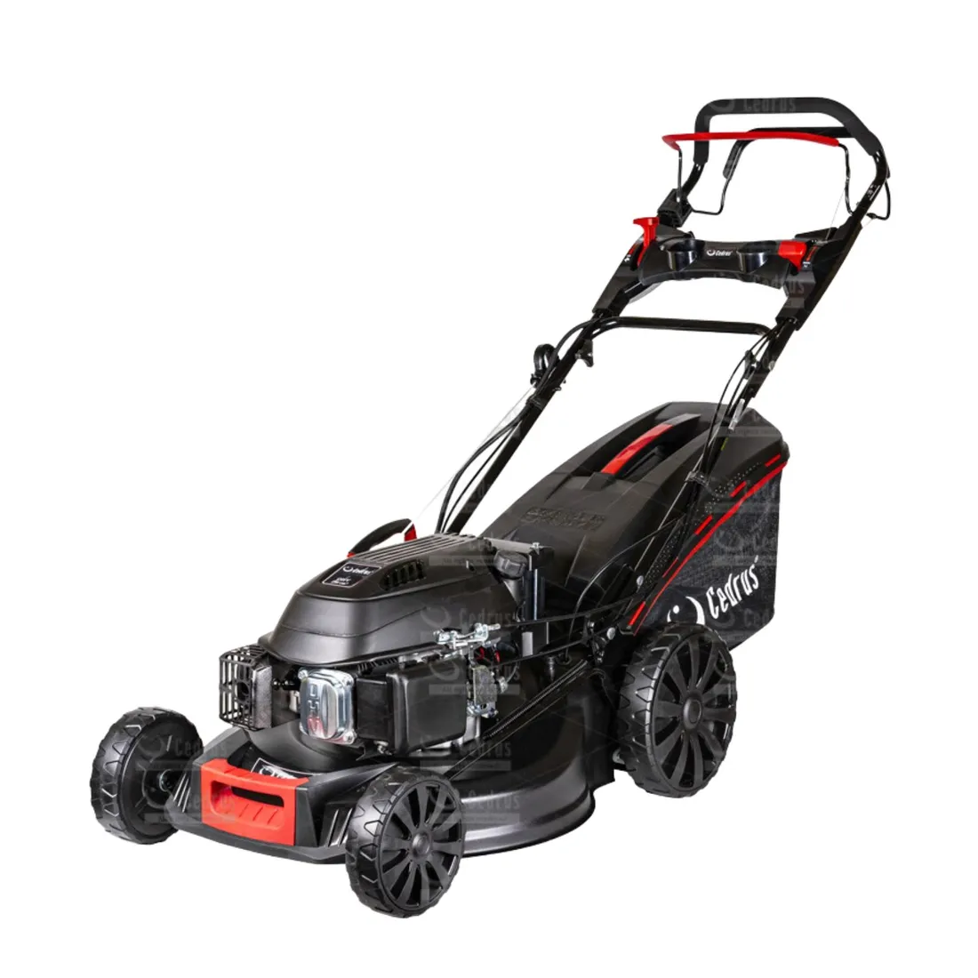 kosiarka-spalinowa-cedrus-cedks53s-e