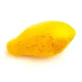papaja-gold-1-sztuka