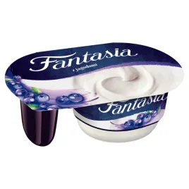 fantasia-jogurt-kremowy-z-jagodami-118-g
