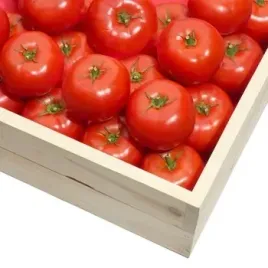 pomidor-6kg