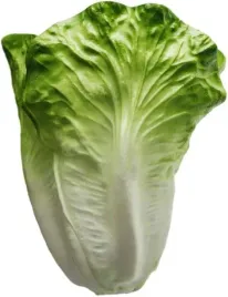 salata-sztuczna-dekoracja-rekwizyt-zabawka-realistyczna-17x13-cm