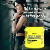 evolite-bcaa-2-1-1-400-g