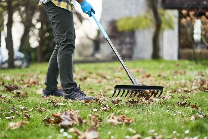 cellfast-ideal-glowica-material-glowicy-tworzywo-sztuczne