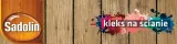 sadolin-olej-superdeck-do-tarasow-5l-dab-pojemnosc-5-l