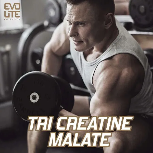 evolite-tri-creatine-malate-300-g