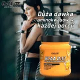 evolite-bcaa-2-1-1-400-g