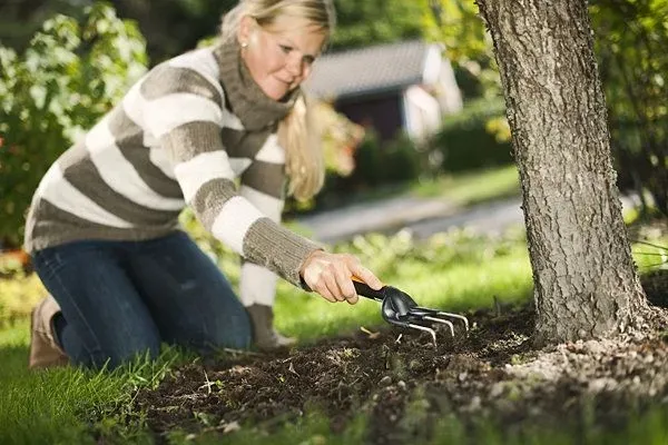 fiskars-kultywator-premium