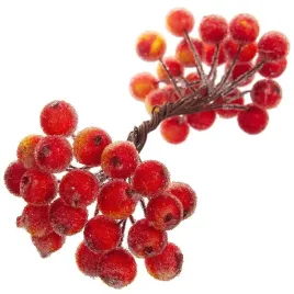 jarzebina-czerwono-zolta-oszroniona-na-druciku-1-galazka