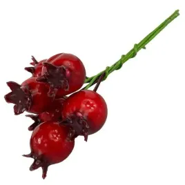 owoce-glogu-na-druciku-1-galazka-do-wiankow-stroikow