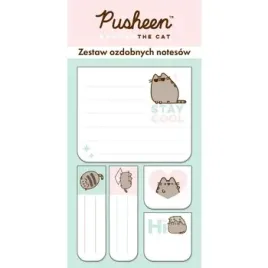 zestaw-notesow-ozdobnych-pusheen