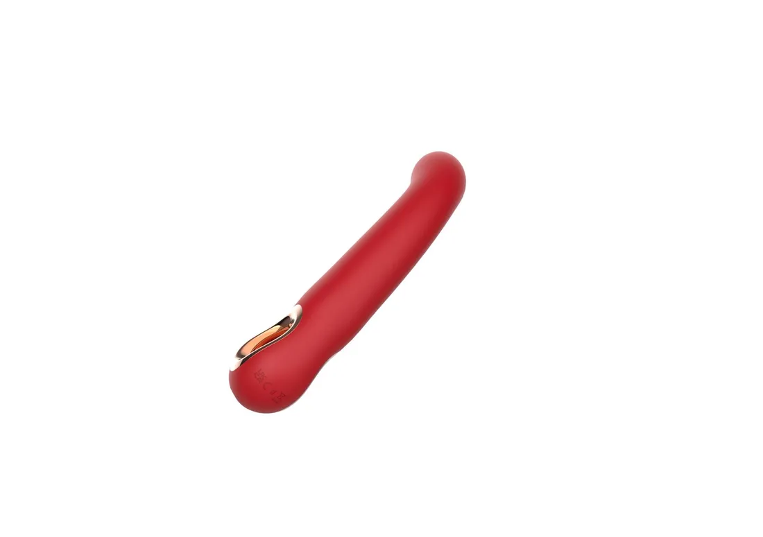 feminism-vibrator-stan-nowy