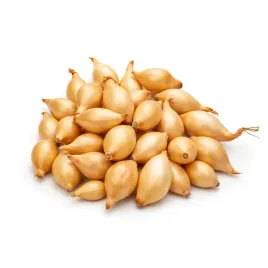 cebula-dymka-zolta-birnformige-rozmiar-025-kg-smaczna-250g-szarlotka