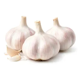 czosnek-jary-jarry-polski-jarus-do-sadzenia-jedzenia-wiosenny-3-glowki