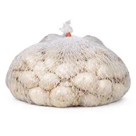 cebula-dymka-biala-alibaba-1000g-lekko-pikantna-wiosenna-do-sadzenia-1kg