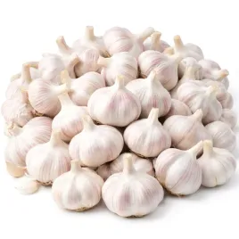 polski-czosnek-wiosenny-jarus-1000g-ekologiczny-sadzenia-i-jedzenia-glowki