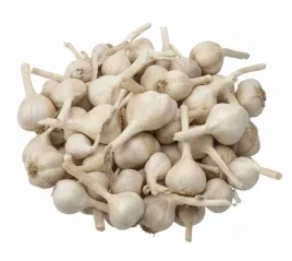 czosnek-jarus-jary-polski-wiosenny-jadalny-do-sadzenia-od-rolnika-1000g