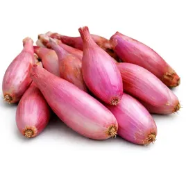 cebula-dymka-zebrune-slodka-lagodna-plenna-wiosenna-do-sadzenia-250g