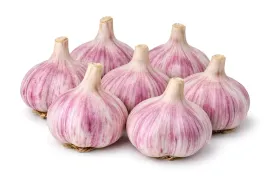 czosnek-morado-polski-j-do-sadzenia-jedzenia-wiosenny-250g-aromatyczny