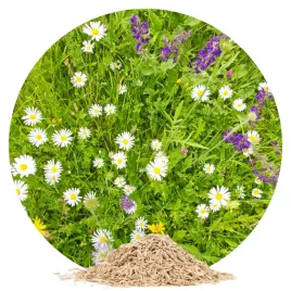 trawa-kwiatami-malowana-5kg-kwietna-kwiatowa-laka