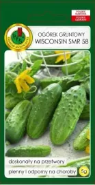 ogorek-wisconsin-5g-wczesny-nasiona-plenny-do-kwaszenia-konserwowania