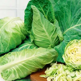 kapusta-glowiasta-biala-express-bardzo-wczesna-toraf-nasiona-stozkowa