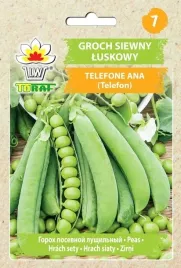 groch-i-bob-luskowy-nasiona-50g-slodki-plenny-pozny-na-mrozonki