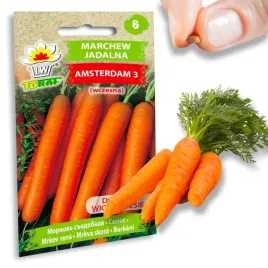 marchew-amsterdamska-amsderdam-wczesna-siew-wiosenny-letni-nasiona-5g