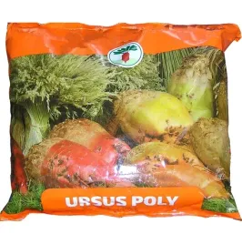 nasiona-buraka-burak-pastewny-ursus-poly-c-1-1kg-100g