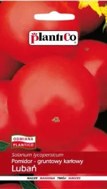 pomidor-luban-nasiona-1g-odporny-na-warunki-pogodowr-karlowy-plenny