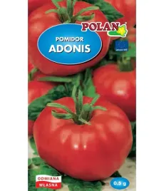 polan-pomidor-adonis-05g-nasiona-wczesny-miesisty-plenny-walory-smakowe