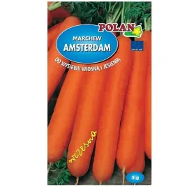 marchew-jadalna-amsterdam-3-nasiona-5-g-wczesna-slodkaplenna-pierwszy-zbior