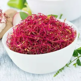 nasiona-na-kielki-burak-lisciowy-czerwony-zrodlo-witamin-10-gram-zdrowy