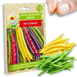 fasola-szparagowa-karlowa-mix-odmian-nasiona-40g-toraf
